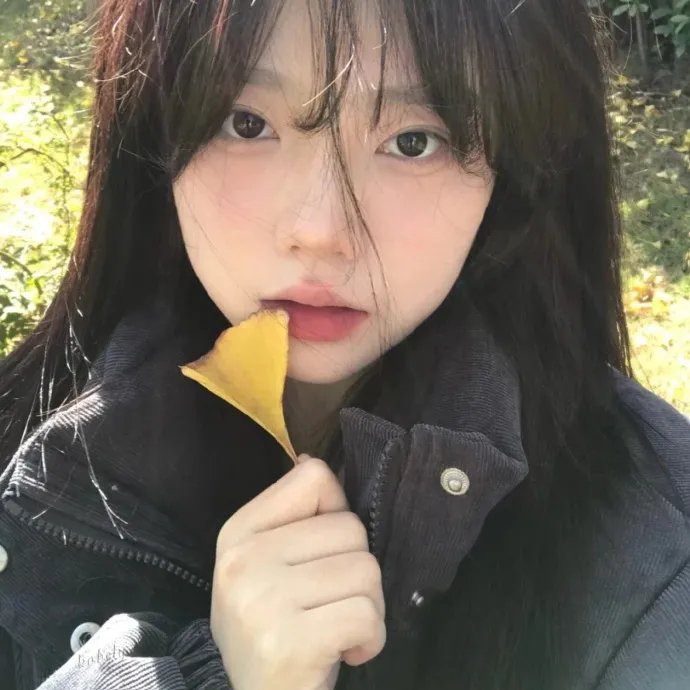 欢乐岁月